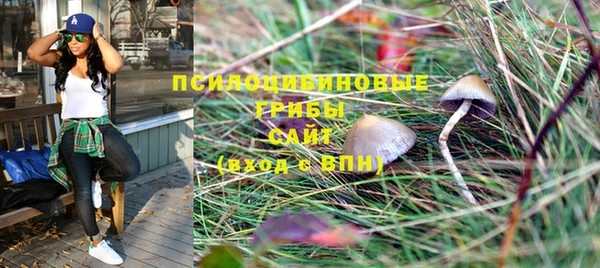 a pvp Белокуриха
