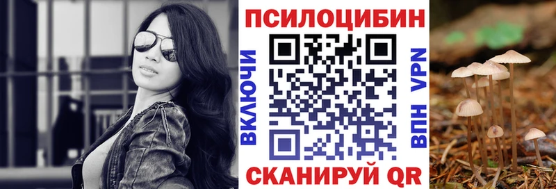 Галлюциногенные грибы Psilocybine cubensis  Магас 